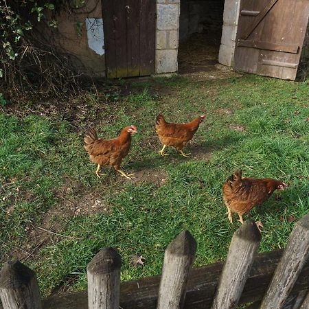 Chambres D'Hote En Dordogne Beauronne المظهر الخارجي الصورة