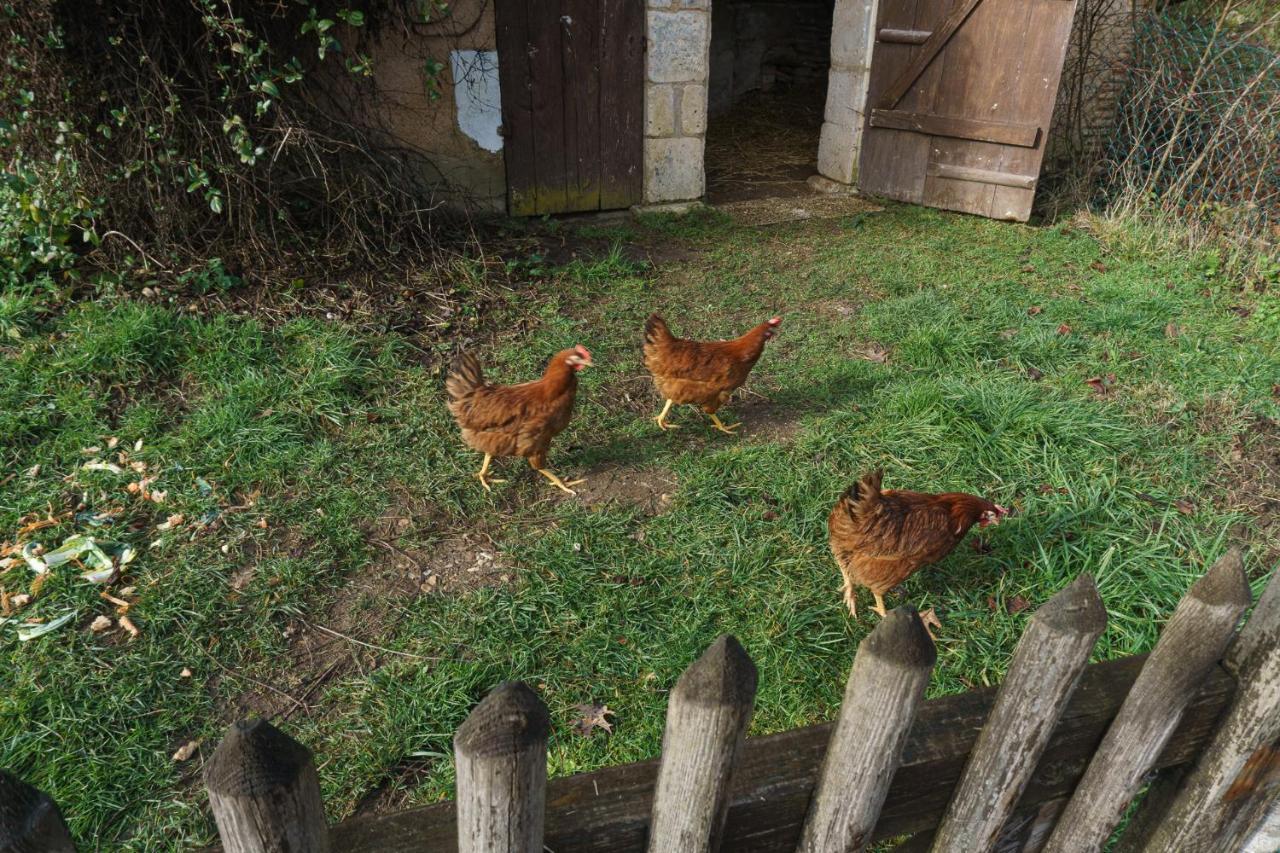Chambres D'Hote En Dordogne Beauronne المظهر الخارجي الصورة